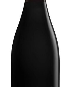 Bollinger La Cote aux Enfants Coteaux Champenois Rouge 2019 75cl
