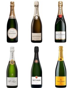 Brut Champagne Mixed Case (6 x 75cl)