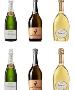Champagne Tasting Mixed Case (6 x 75cl)