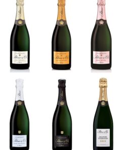 ChampagneDirect.co.uk. Palmer & Co Special Mixed Case (6 x 75cl)